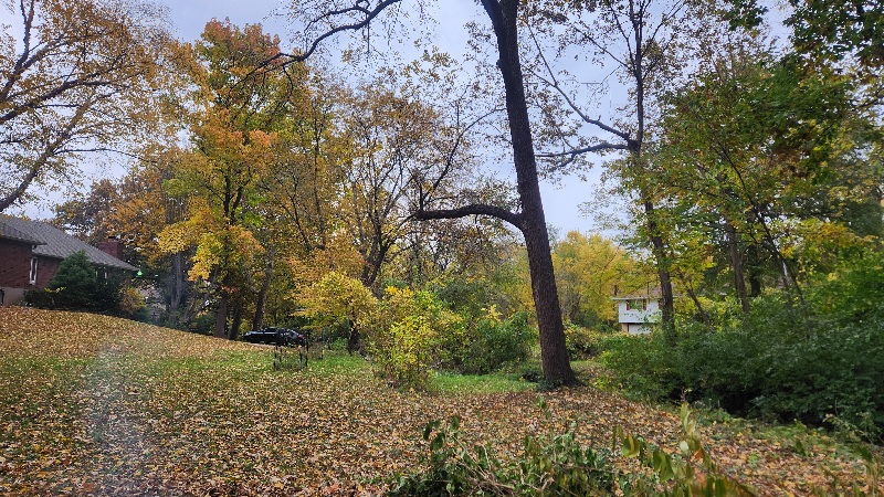 Saturday 08 November 2025