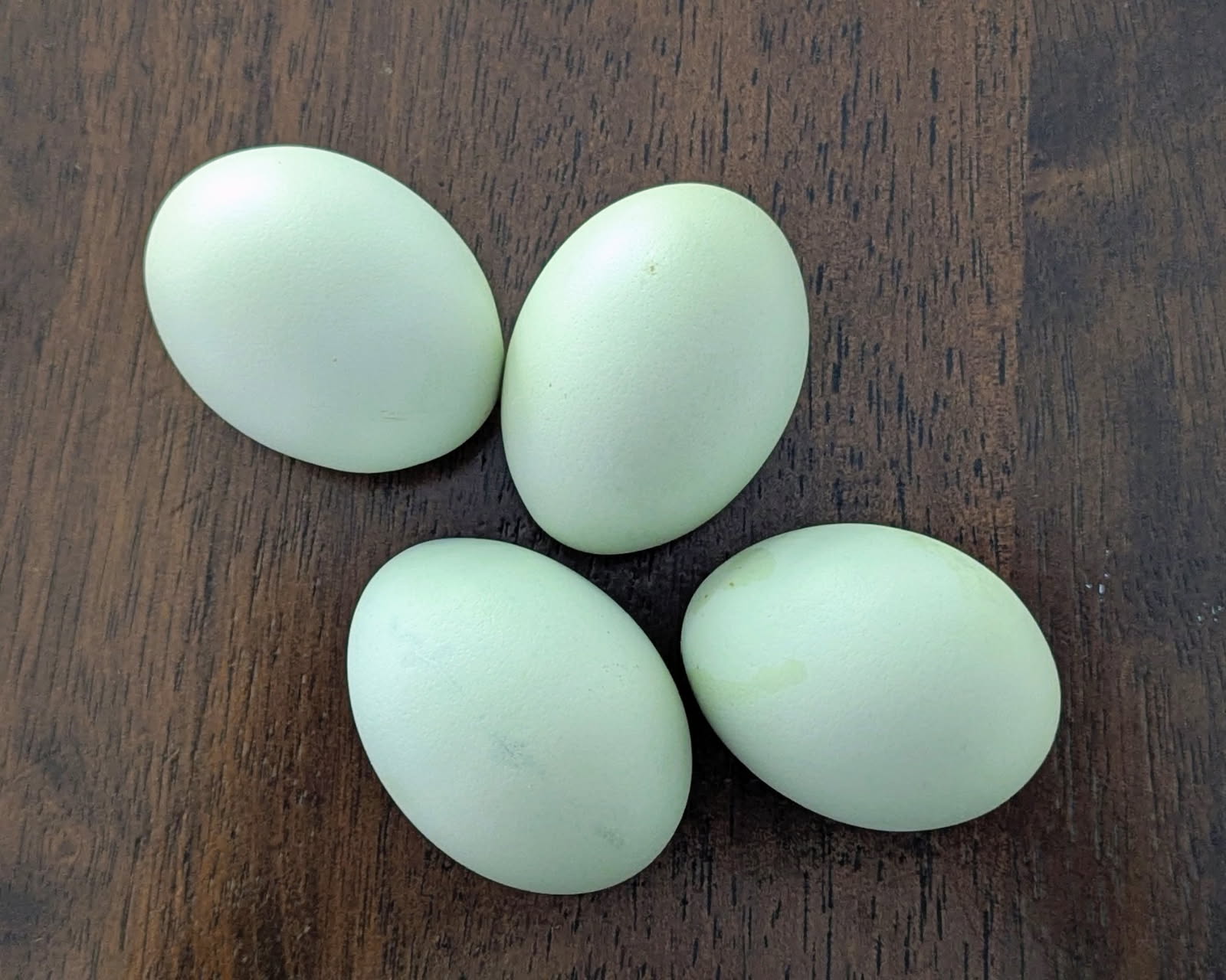 New Egg Color